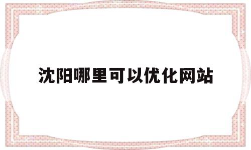 沈阳哪里可以优化网站(沈阳优化网站关键词)
