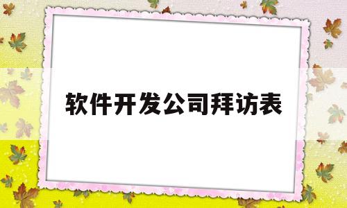 软件开发公司拜访表(软件公司调研报告)