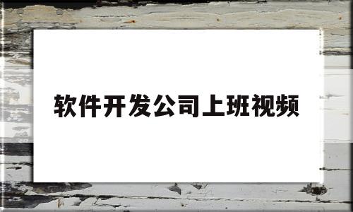 软件开发公司上班视频(做软件开发工作累吗)