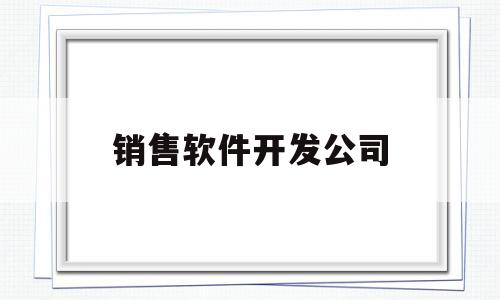 销售软件开发公司(销售软件的公司)