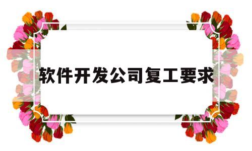 软件开发公司复工要求(软件公司开发流程)
