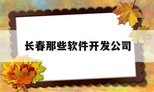 长春那些软件开发公司(长春软件行业)