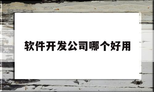 软件开发公司哪个好用(开发软件公司排名)