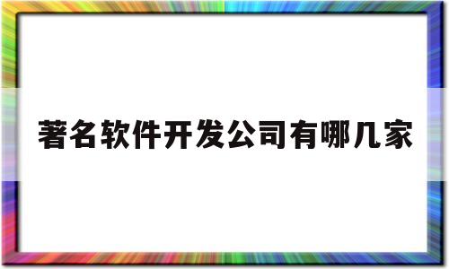 著名软件开发公司有哪几家(十大软件开发公司)