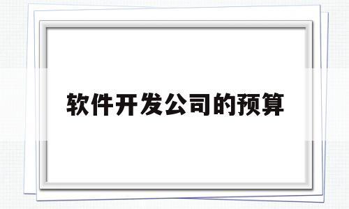 软件开发公司的预算(软件开发 预算)