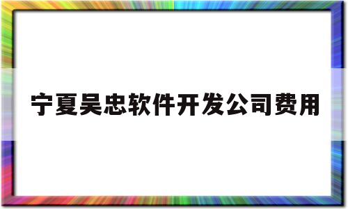 宁夏吴忠软件开发公司费用(软件开发公司要什么资质)