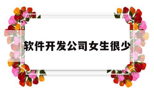 软件开发公司女生很少(软件开发适合女生做吗)