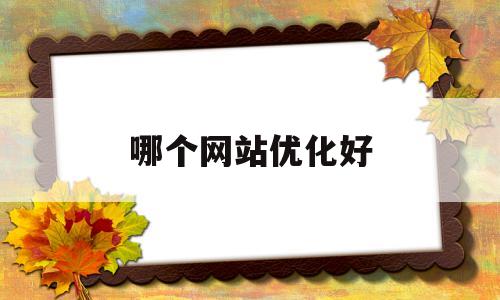 哪个网站优化好(什么样的网站利于优化)