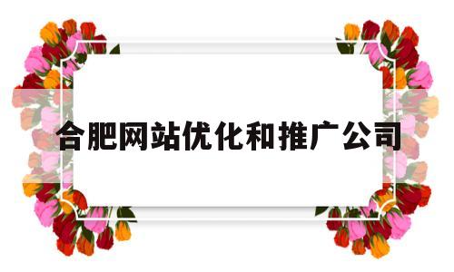 合肥网站优化和推广公司(合肥网络推广优化公司)