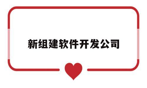 新组建软件开发公司(创办软件公司)