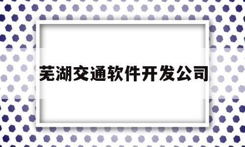 芜湖交通软件开发公司(芜湖交通集团)