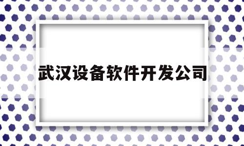 武汉设备软件开发公司(武汉设备公司有哪些)