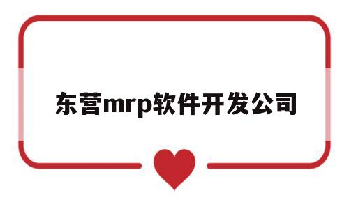 东营mrp软件开发公司(东营软件园地址)