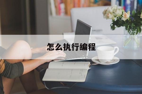 怎么执行编程(编程如何执行)