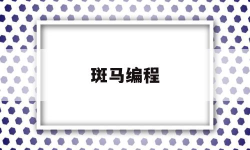 斑马编程(斑马编程一节课多少钱)