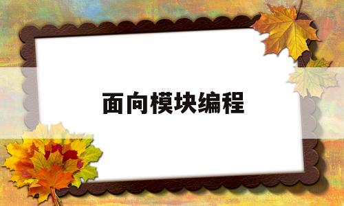 面向模块编程(面向模块编程是什么)