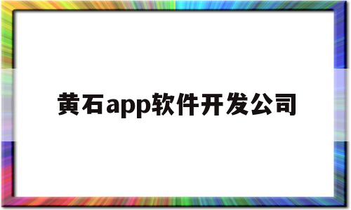 黄石app软件开发公司(黄石app软件开发公司有哪些)