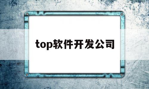 top软件开发公司(软件开发公司前十)