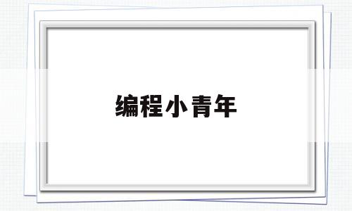编程小青年(青少年编程作品)