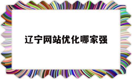 辽宁网站优化哪家强(沈阳网站优化推广方案)