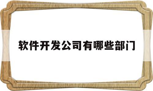 软件开发公司有哪些部门(软件开发公司一般有什么部门)