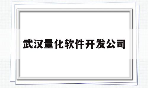武汉量化软件开发公司(武汉量子公司)