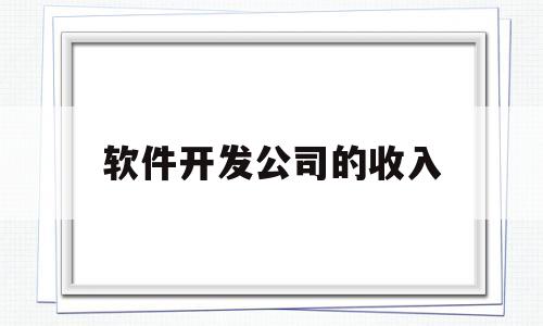 软件开发公司的收入(软件开发公司收入情况)