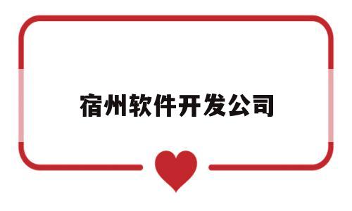 宿州软件开发公司(宿州的公司)