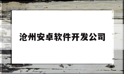 沧州安卓软件开发公司(沧州软件测试报告电话)